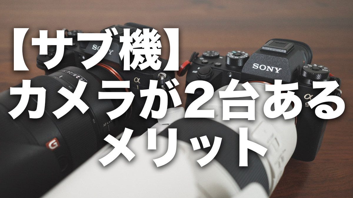 サブ機】カメラを2台持つメリットと選び方！
