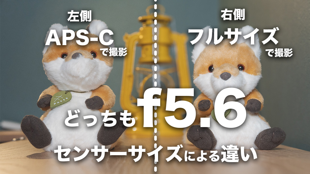 センサーサイズの違い】フルサイズとAPS-Cのボケ量と画角